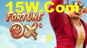 Premium Interface 56F
